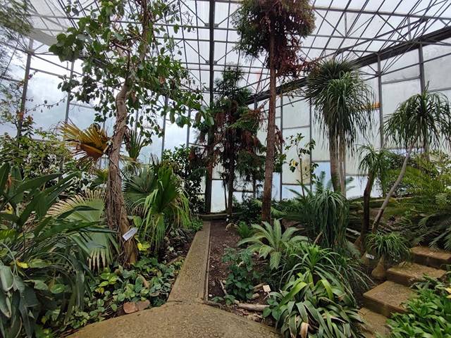 Botanical Garden Lille