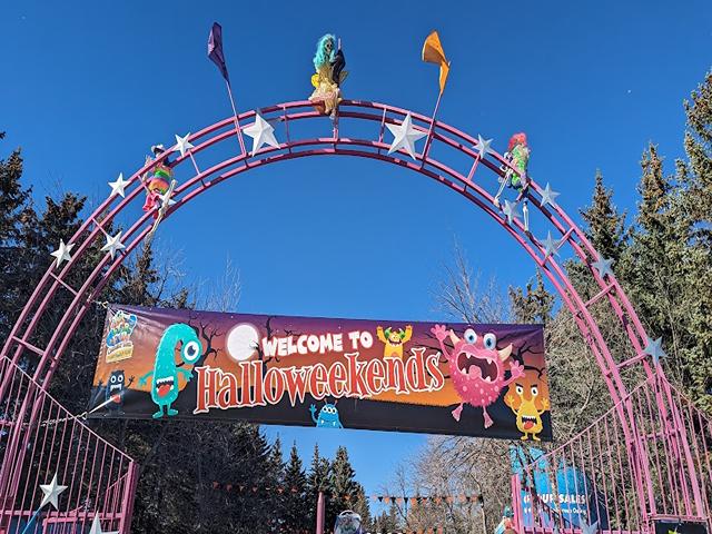 fun things to do in Calgary