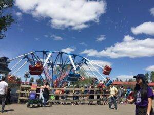 cool things to do in Calgary