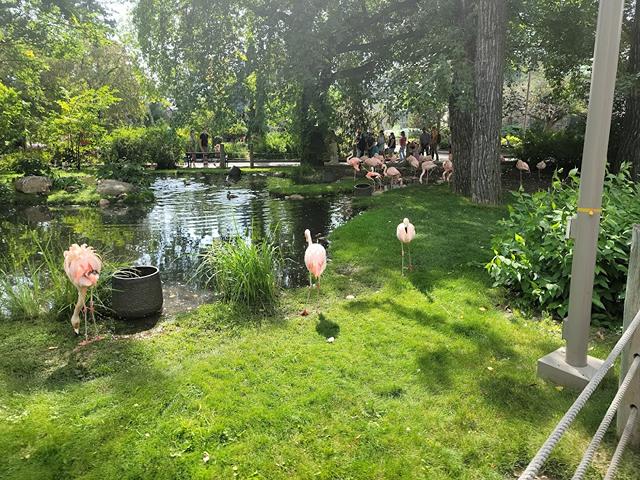 parks in Calgary