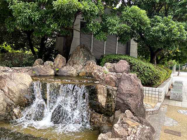 top things to do in Kochi India