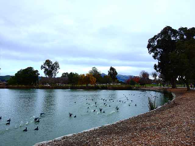 big parks in San Jose