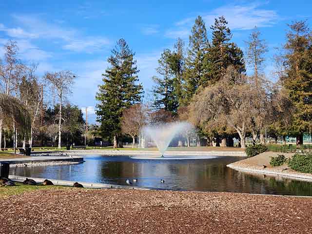 top things to do in San Jose California