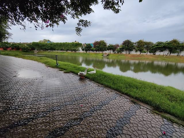 free things to do in Chennai