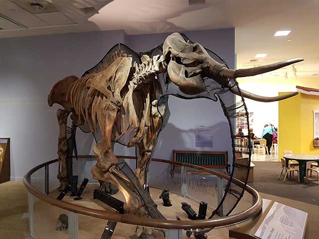 Children's Discovery Museum San Jose