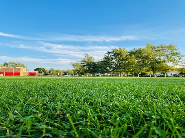 Chippawa Park in Niagara Falls