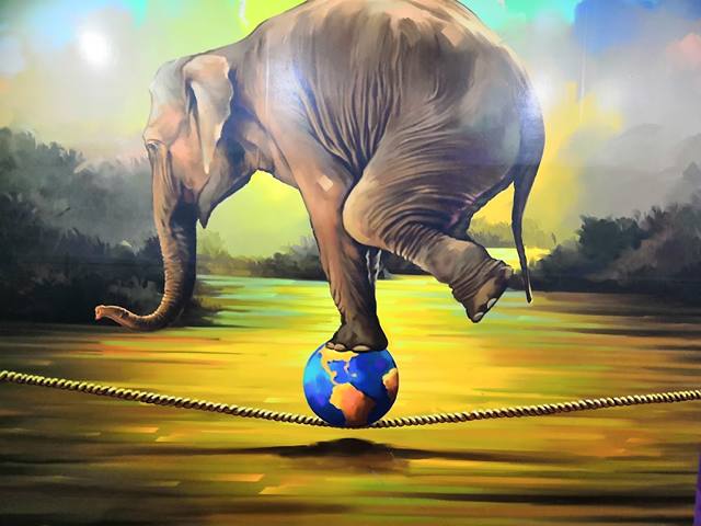 Click Art Museum in Chennai