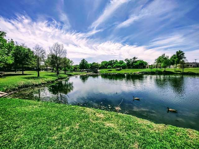 Cottonwood Park Dallas