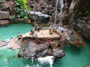 things to do in Dallas with kids