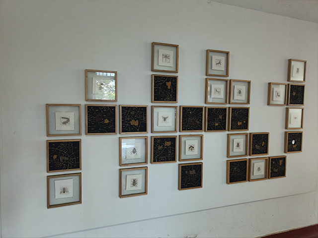 David Hall Museum in Kochi
