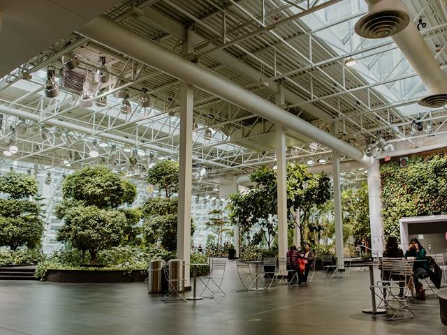 Calgary parks