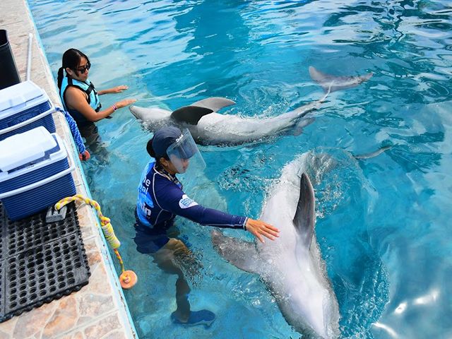 things to do in Puerto Vallarta