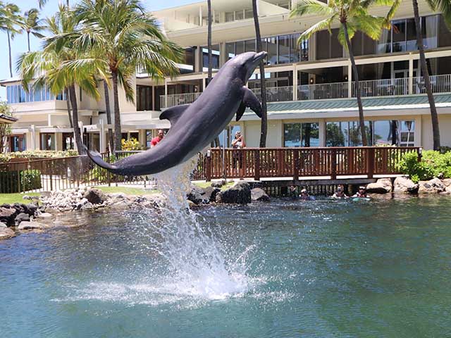 things to do in Honolulu with children