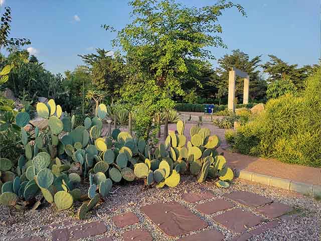 Dravyavati Botanical Park Jaipur