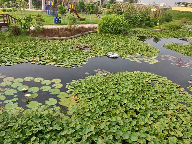 Dravyavati Botanical Park Jaipur