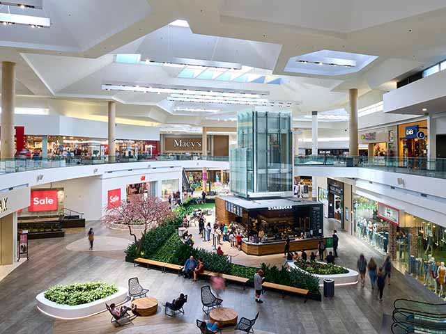 best things to do in San Jose California