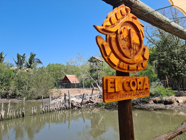 famous parks in Puerto Vallarta