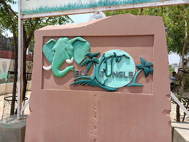 EleJungle Nature Safari Jaipur