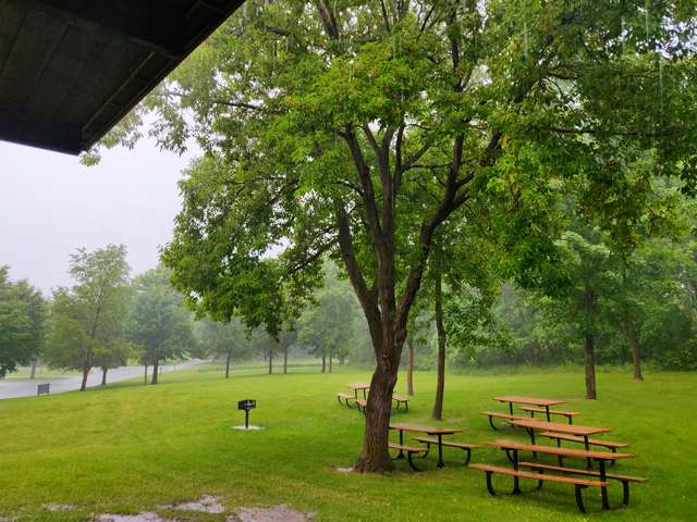Elm Park Minneapolis