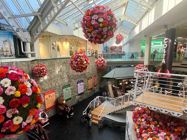 best things to do in Galway Ireland