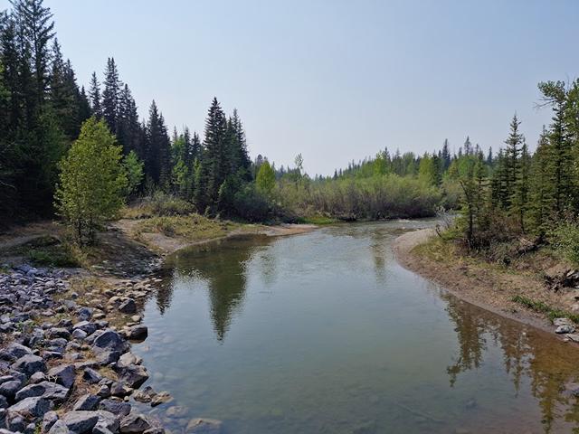 best parks in Calgary