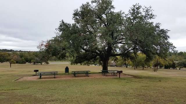free things to do in Dallas