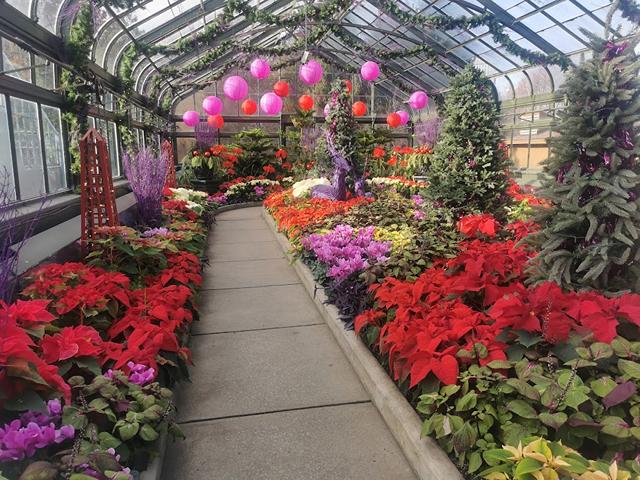 Floral Showhouse in Niagara Falls