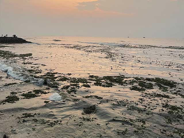 top beaches in Kochi
