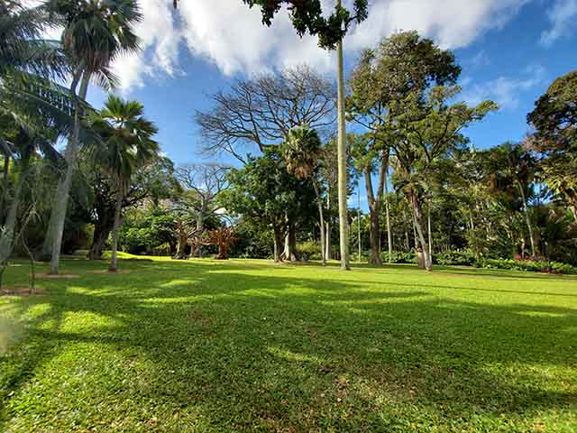 best parks in Honolulu