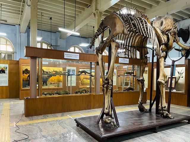 Government Museum in Chennai