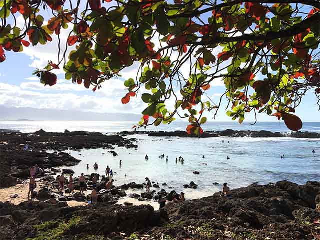 top attractions in Honolulu