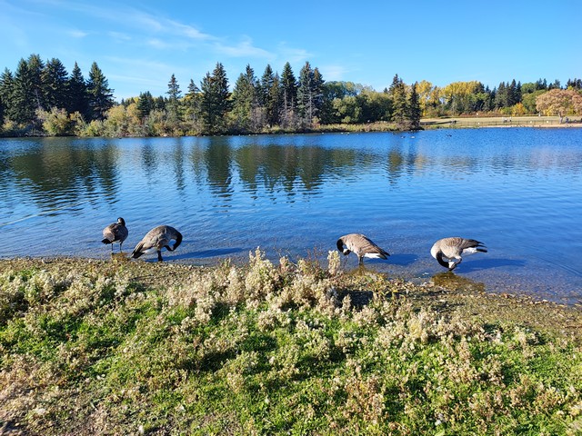 best parks in Edmonton