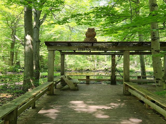 Heartland Forest in Niagara Falls