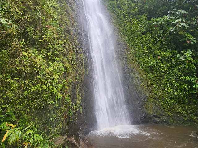 Honolulu Watershed Forest Reserve