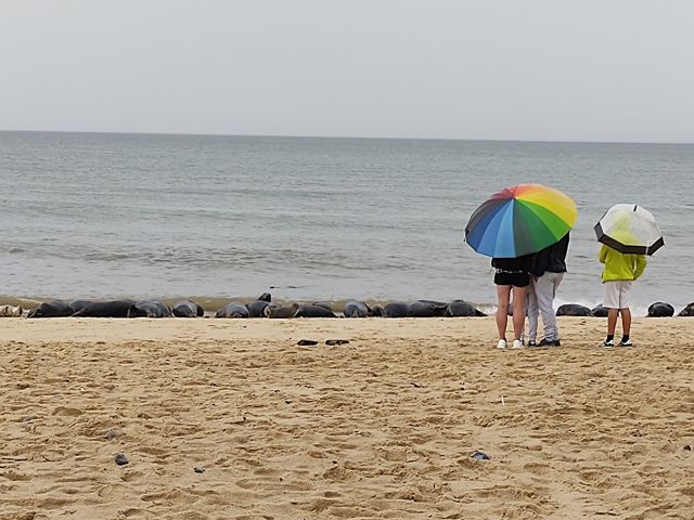 Horsey Beach Norwich
