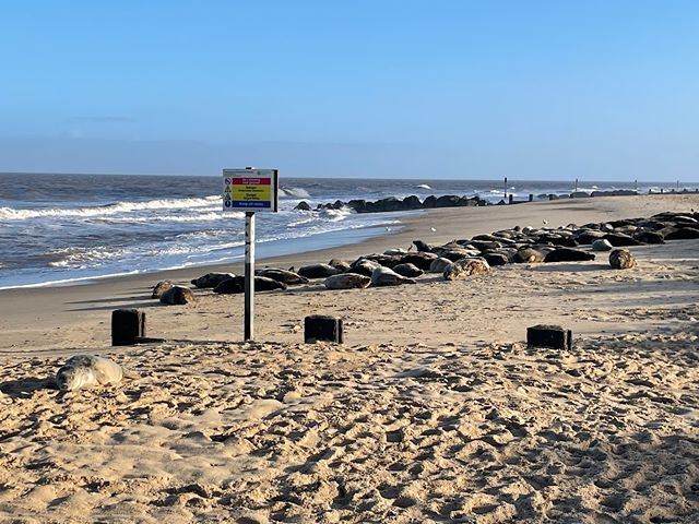 Horsey Beach in Norwich