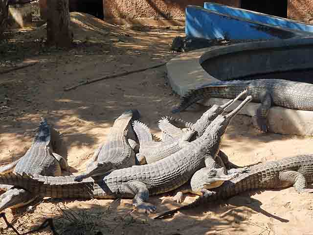 best parks in Jaipur