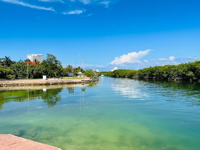 Jardin del Arte in Cancun
