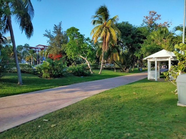 Garden of Art