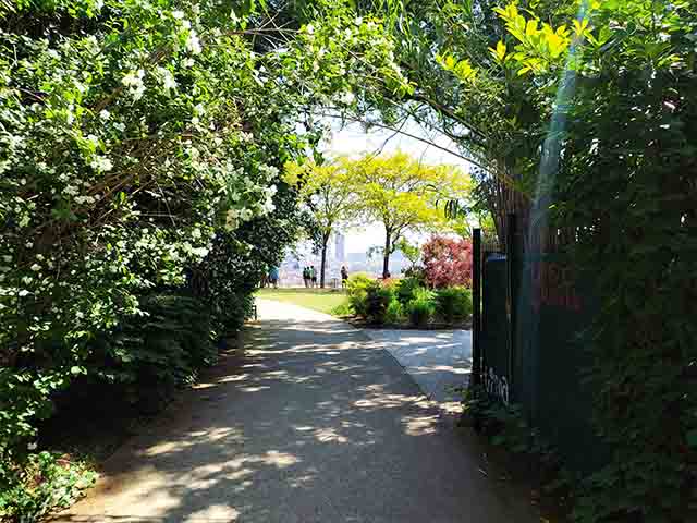Jardin des Curiosites Lyon