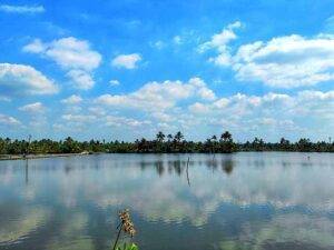 Kadamakkudy Islands View Point Kochi