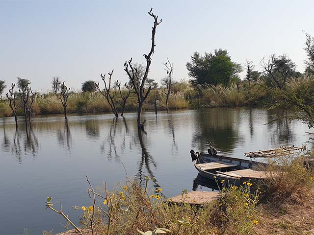 best things to do in Jaipur