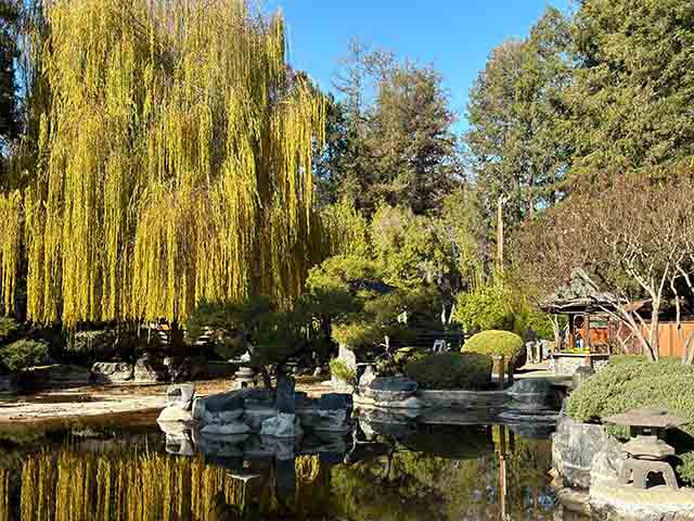 best things to do in San Jose USA