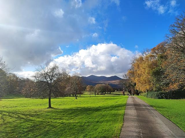House Garden in Killarney