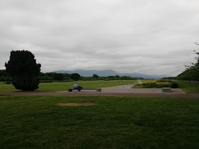 Killarney Park