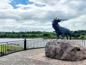 King Puck Statue Killarney