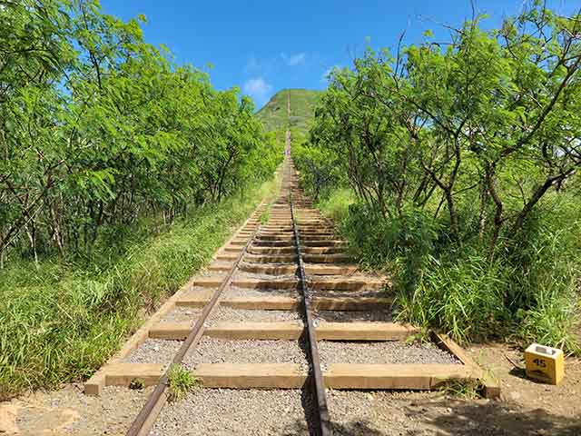 best things to do in Honolulu 