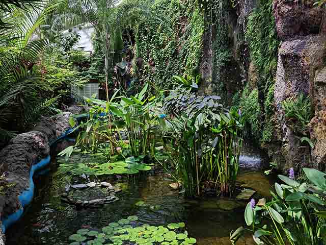 Konya Tropical Butterfly Garden