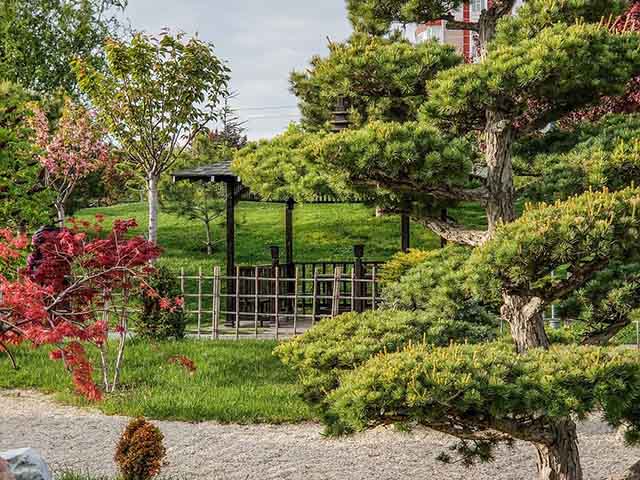 things to see in Konya