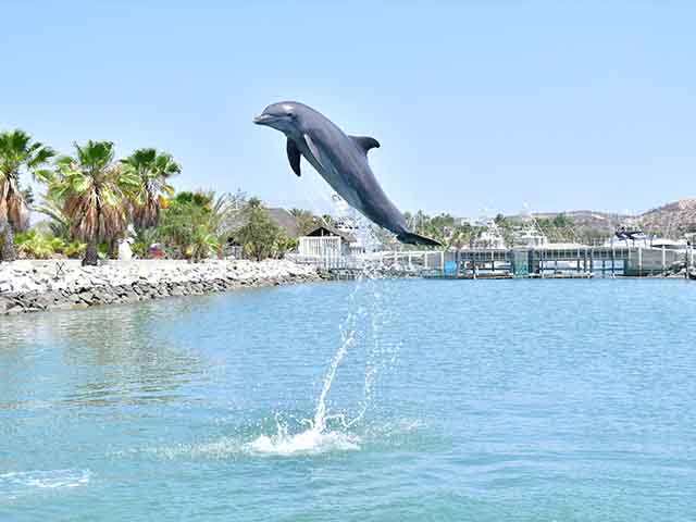 what are fun things to do in San Jose - fun activities in San Jose